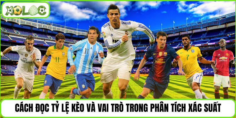 Cách đọc tỷ lệ kèo và vai trò trong phân tích xác suất